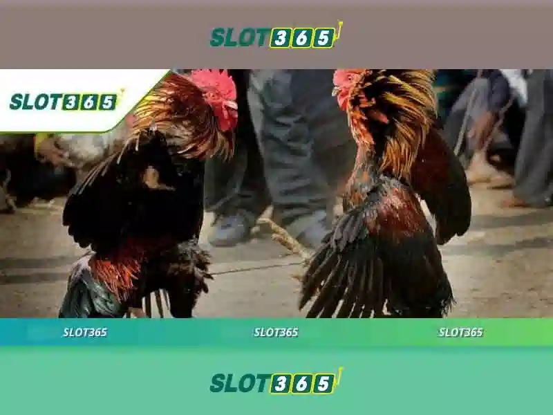 Giới thiệu về Slot365\n\n