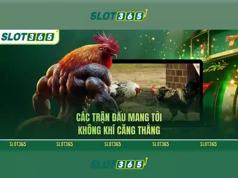 Đa dạng tựa game slot từ nhà phát triển hàng đầu