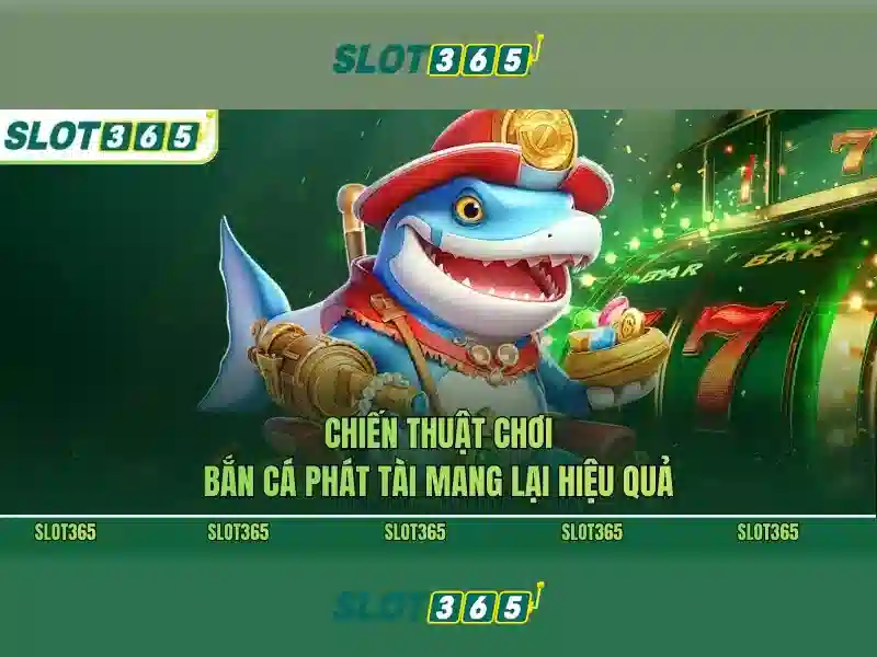 An toàn, thanh toán và hỗ trợ