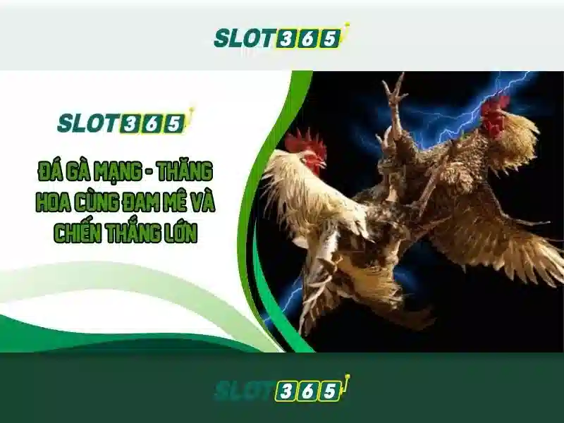 Giới thiệu về Slot365