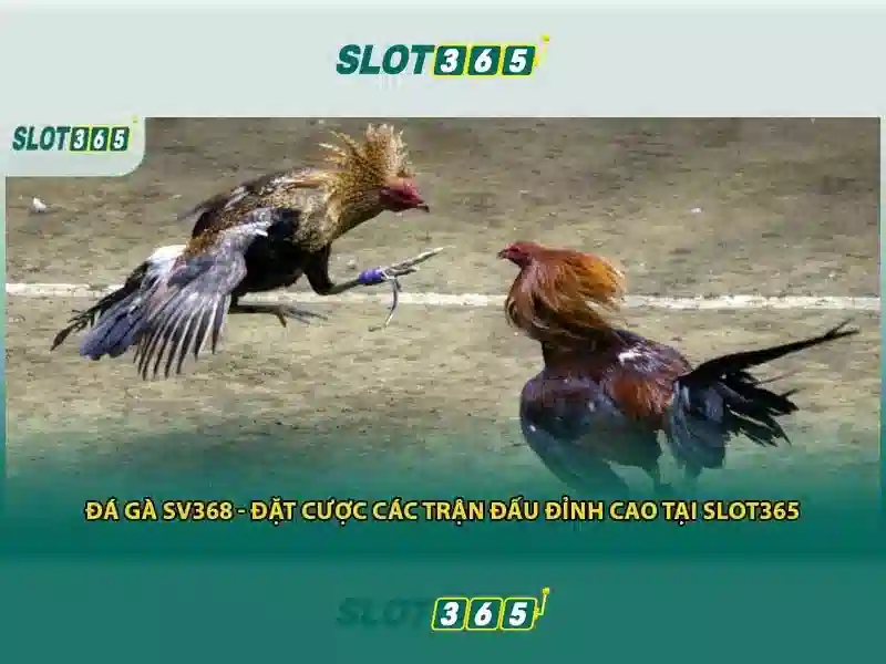 Mẹo chơi bắn cá 3 cây dễ ăn tiền nhà cái