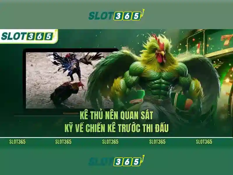 Trò chơi và tính năng