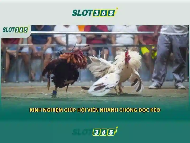 Mẹo chơi bắn cá 3 cây dễ ăn tiền nhà cái