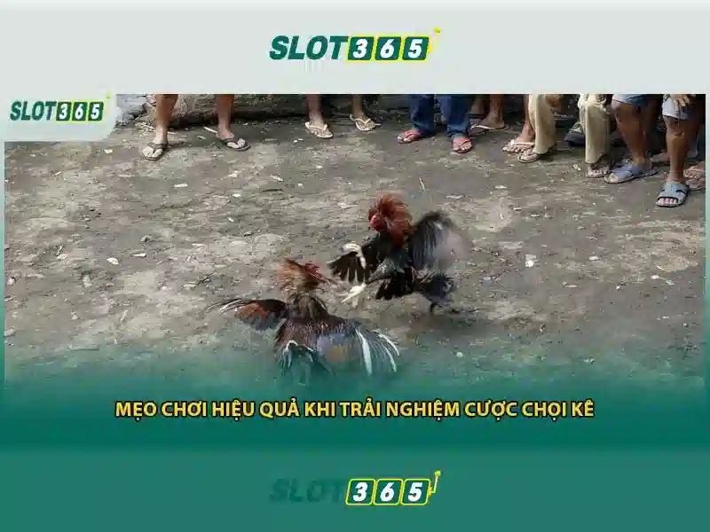 Nguồn gốc và sứ mệnh của khuyến mãi Slot365