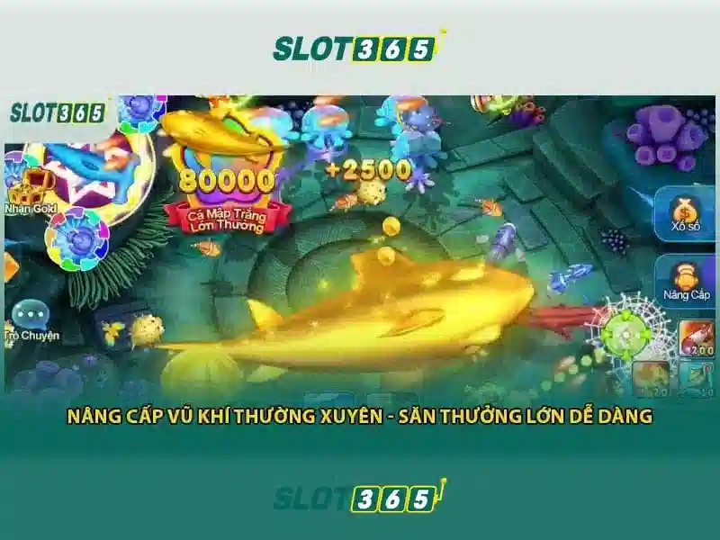 Hỗ trợ và cộng đồng