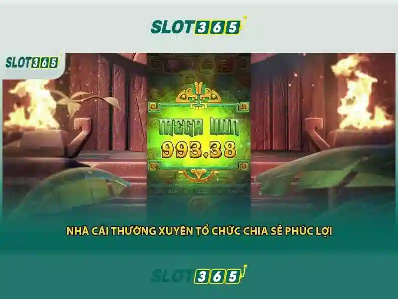 Slot365: Đánh giá và trải nghiệm người dùng