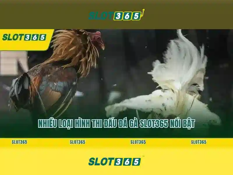 slot365 xx vip – Tóm tắt chủ đề và giá trị cốt lõi