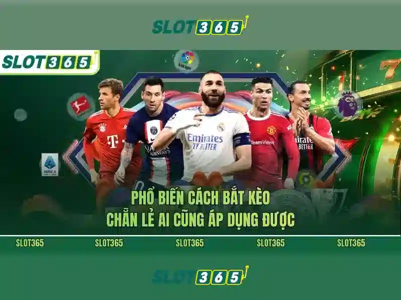 slot365 link alternatif – chủ đề tổng quan và giá trị cốt lõi