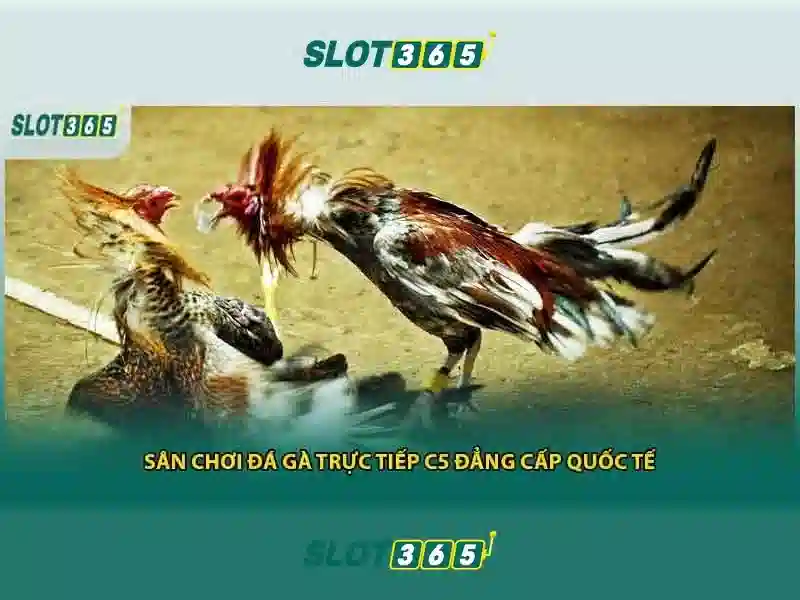 Slot365 — Trải nghiệm slots trực tuyến