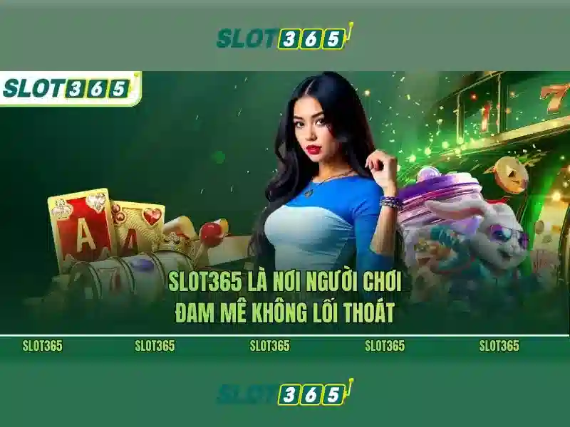 Slot365 - Tổng quan về nền tảng đánh bạc trực tuyến