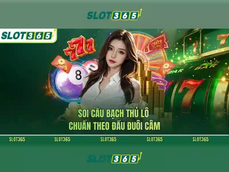 Slot365 là gì?\n\n