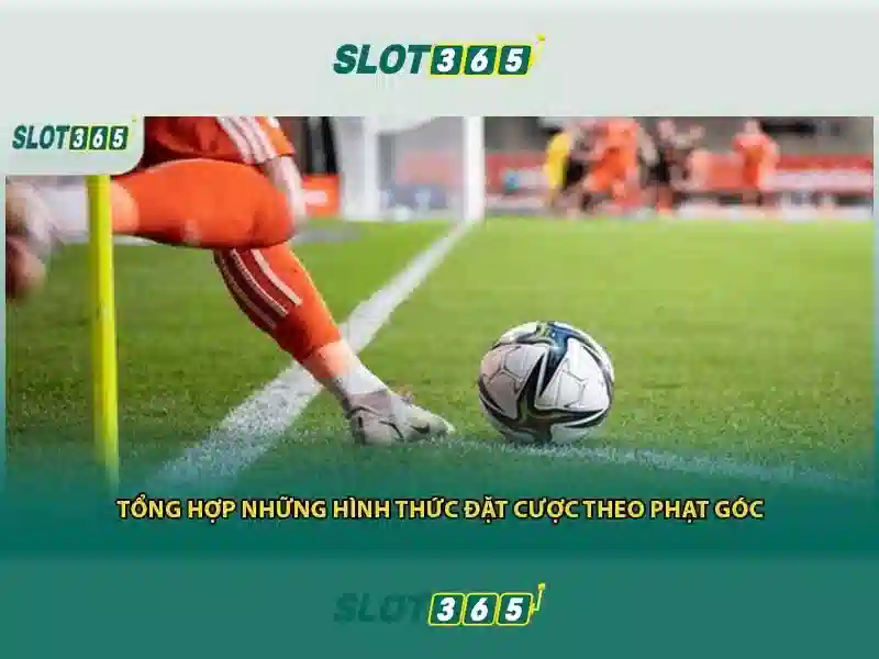 Trải nghiệm người dùng và phản hồi từ cộng đồng