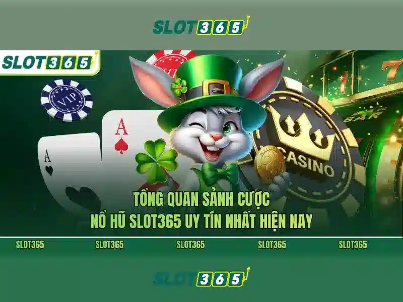 review Slot365 – Tổng quan chủ đề và giá trị cốt lõi