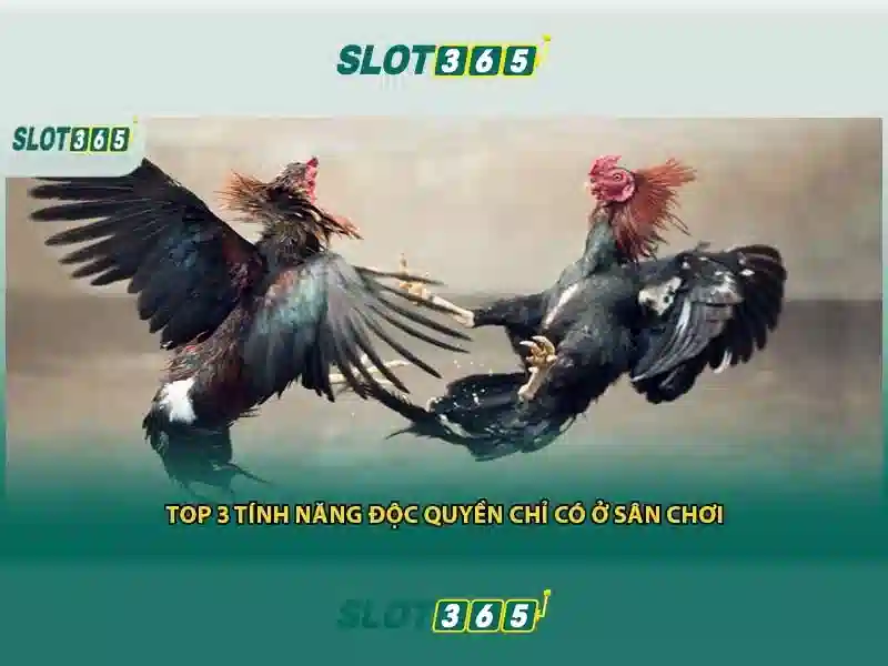 Trải nghiệm người dùng và giao diện