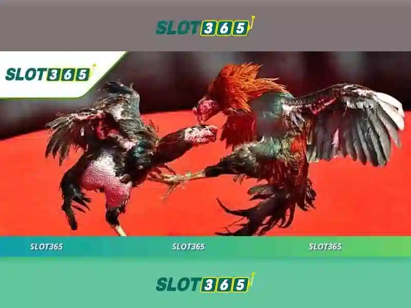 Slot365 – Trò chơi slot trực tuyến