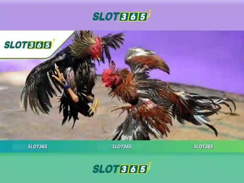 Các trò chơi đa dạng tại Slot365