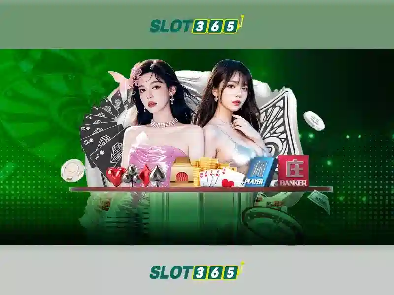 Slot365: Nền tảng casino trực tuyến phổ biến