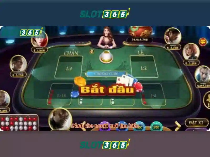 Slot365 - Nền tảng casino trực tuyến và slot hàng đầu