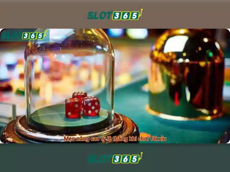Trò chơi và công nghệ tại Slot365