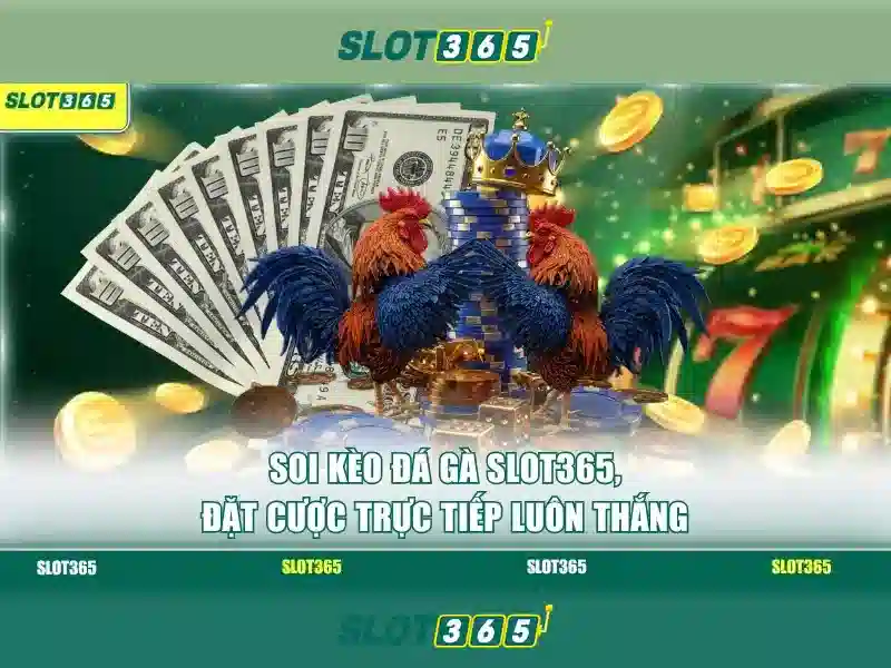 Tổng quan về Slot365