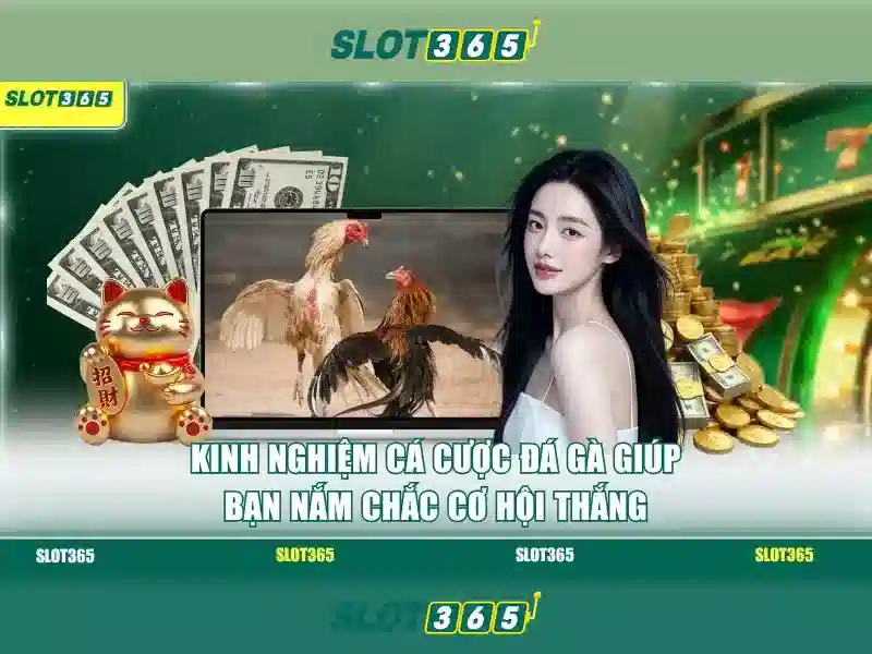 Slot365 – Giới thiệu nền tảng slot online hàng đầu
