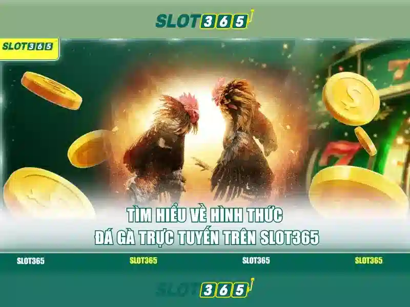 Slot365: Đánh giá và Trải nghiệm