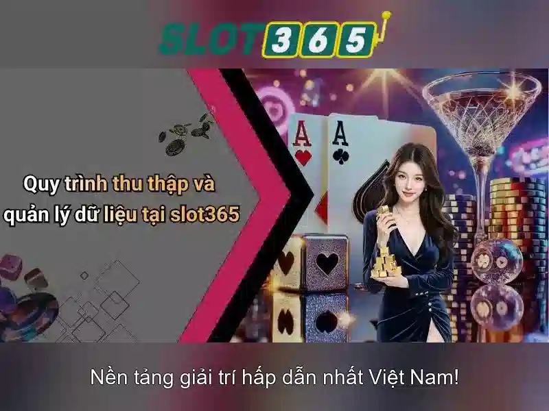 Slot365 - Tổng quan về nền tảng cá cược trực tuyến