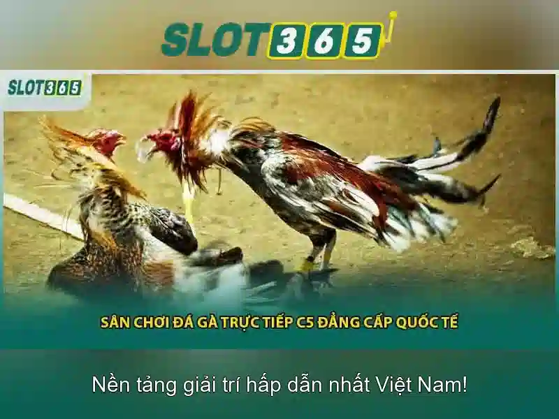 Danh mục trò chơi và nhà cung cấp