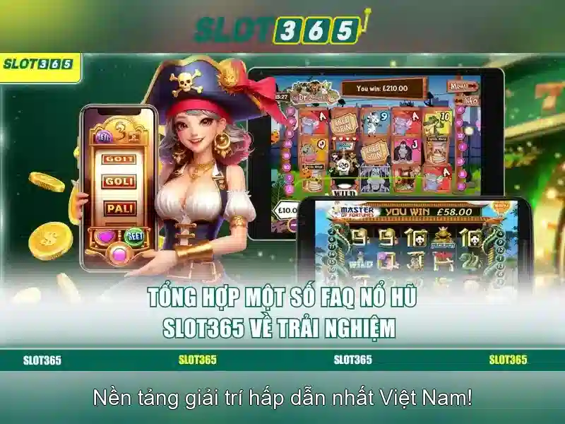 Hỗ trợ khách hàng và trải nghiệm người dùng