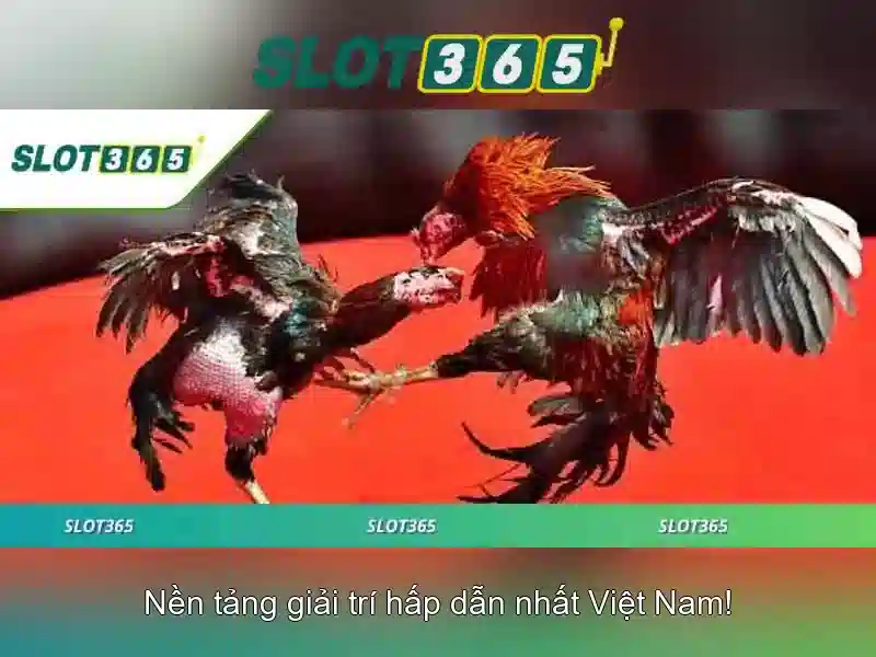 Slot365: Nền tảng slot trực tuyến hiện đại và an toàn