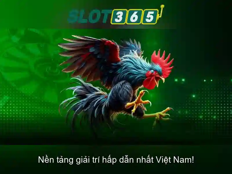 An toàn và bảo mật cho người chơi\n