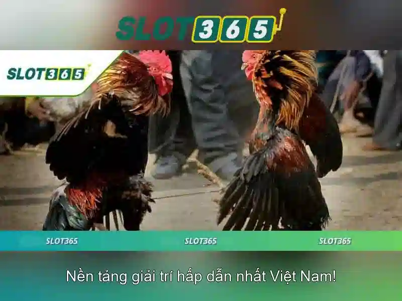 Slot365: Nền tảng casino trực tuyến đáng tin cậy\n