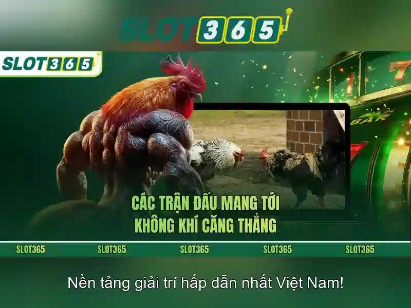 Slot365 – Trò chơi slot trực tuyến