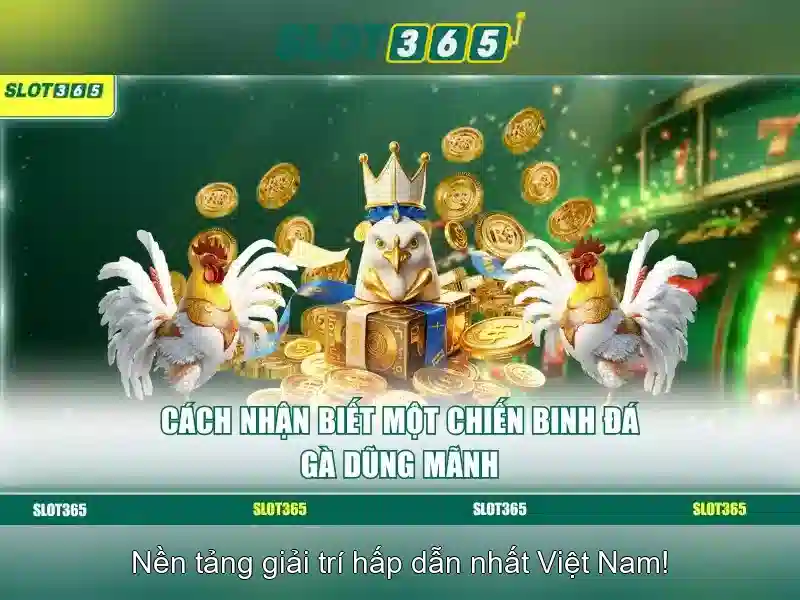 Slot365 – Nền tảng slot trực tuyến