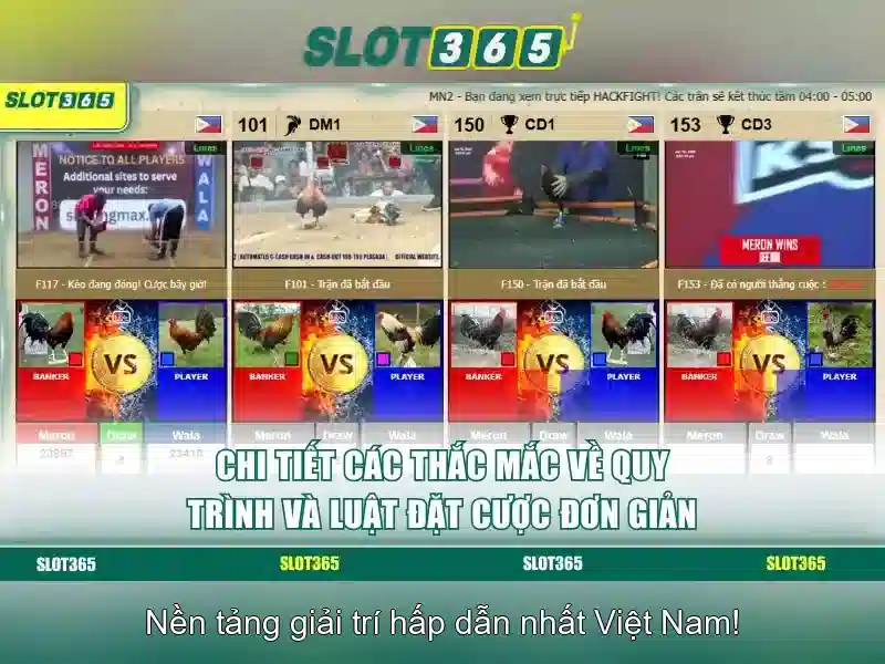 Slot365: Trải nghiệm chơi slot trực tuyến đẳng cấp