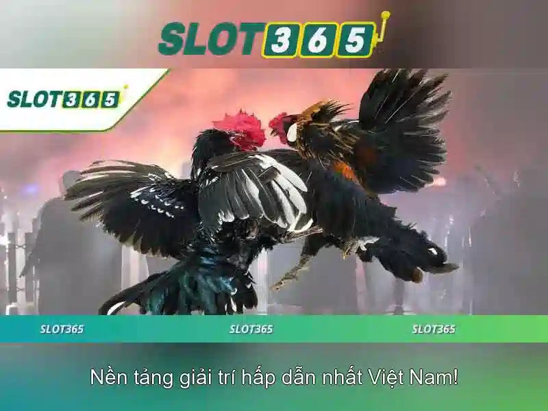Slot365 là gì?\n\n