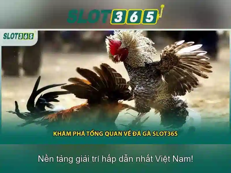 Slot365: Nen tang choi slot truc tuyen an toan va tin cay\n