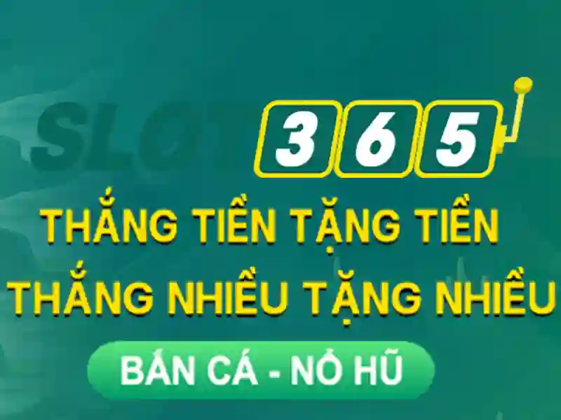 Đánh giá và kết luận