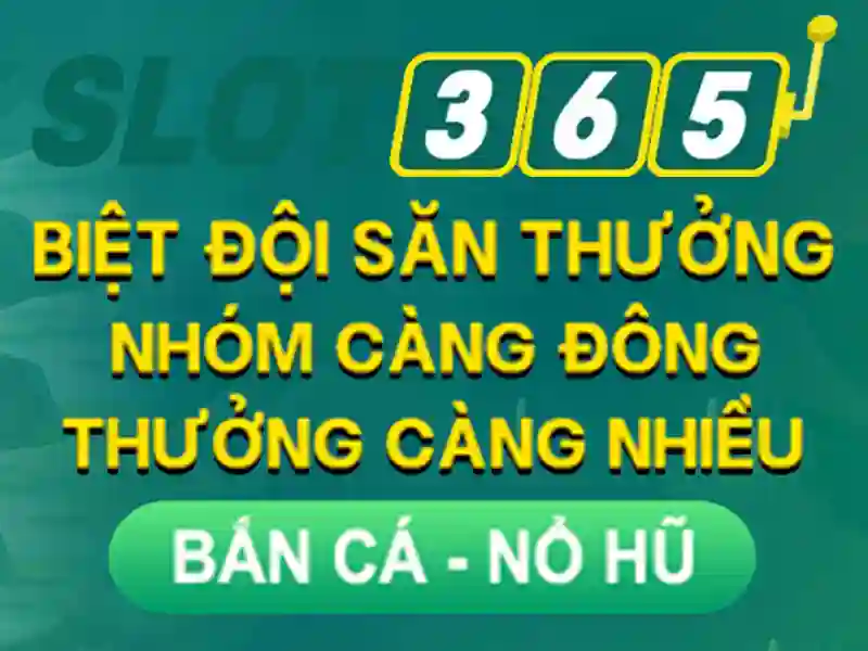 Trải nghiệm người dùng và hỗ trợ