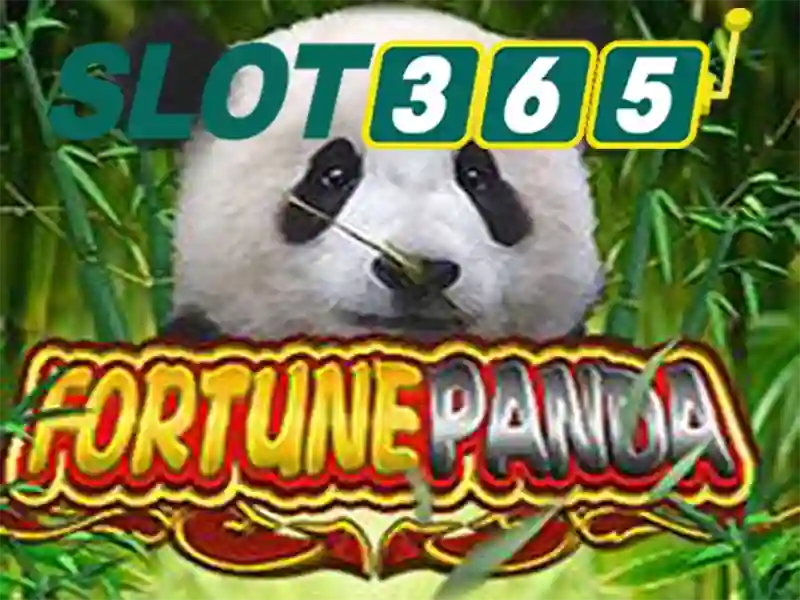 Slot365 là gì và cách hoạt động